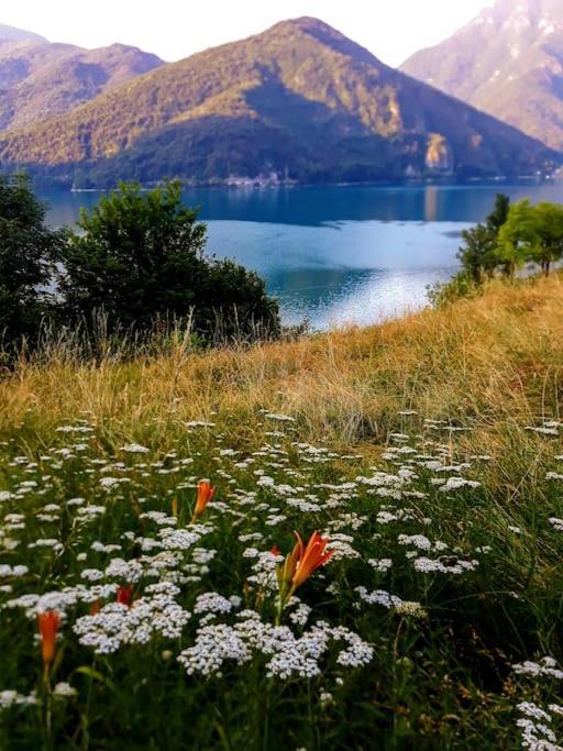 Mini Midlake Codice Cipat 022229-At-410061 Daire Mezzolago Dış mekan fotoğraf