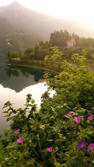 Mini Midlake Codice Cipat 022229-At-410061 Daire Mezzolago Dış mekan fotoğraf